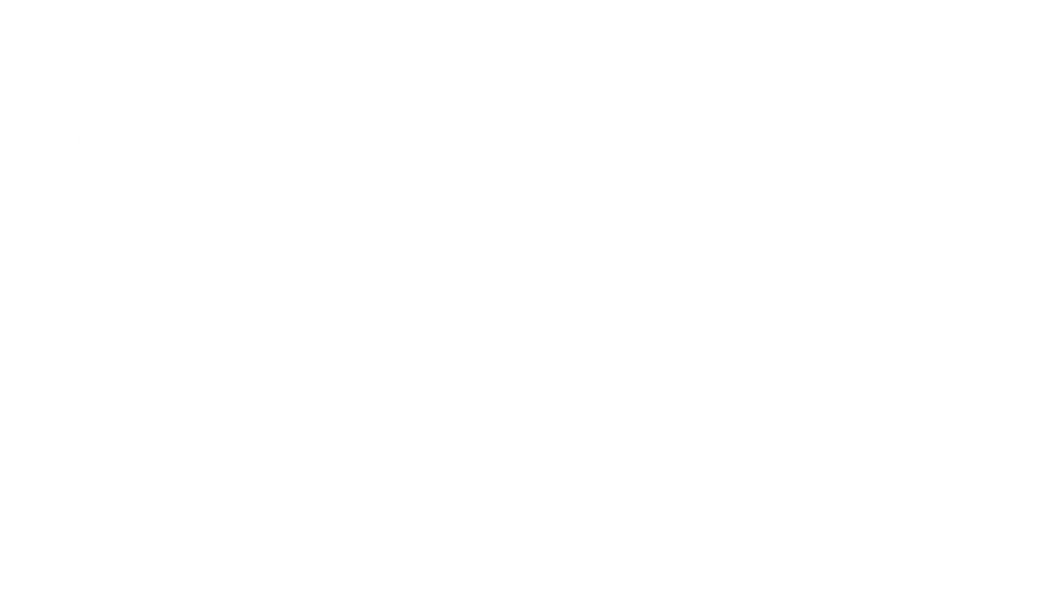 Grupo Barrdega logo — P4 Software authorized distributor